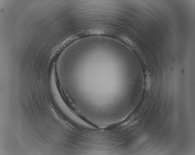 X0000055980446200509021617
