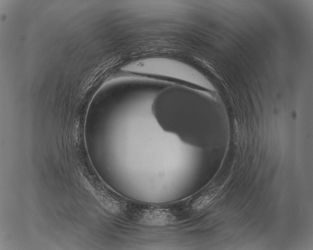X0000055980451200509021617