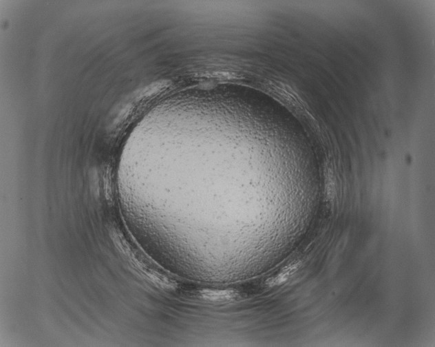 X0000055980457200509021617