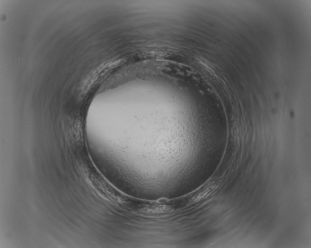 X0000055980459200509021617
