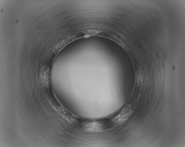X0000055980460200509021617