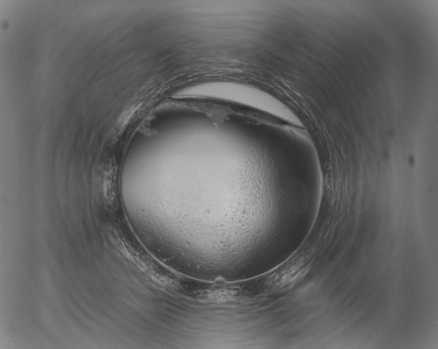 X0000055980462200509021617