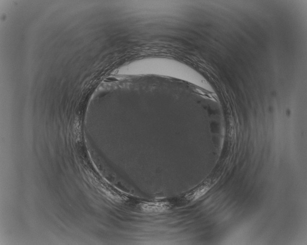 X0000055980465200509021617
