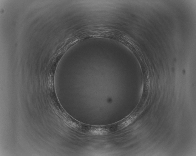 X0000055980467200509021617