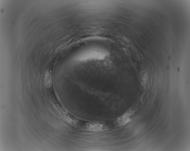 X0000055980471200509021617