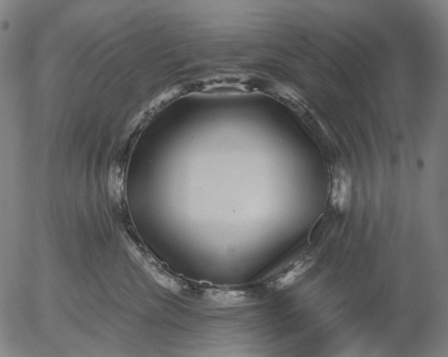 X0000055980476200509021617
