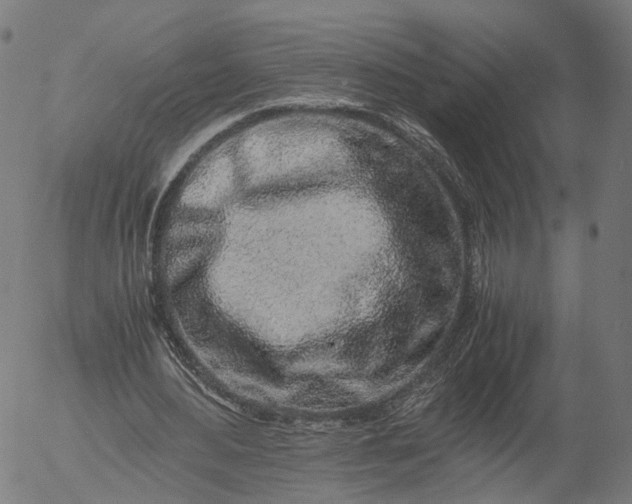 X0000055980484200509021616