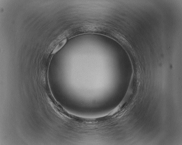 X0000055980489200509021616