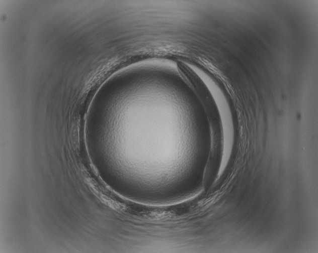 X0000055980493200509021616