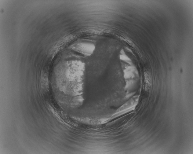 X0000055980500200509021616