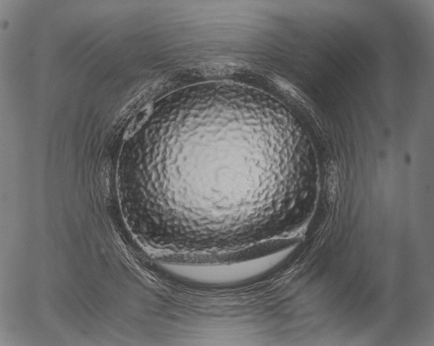 X0000055980501200509021616