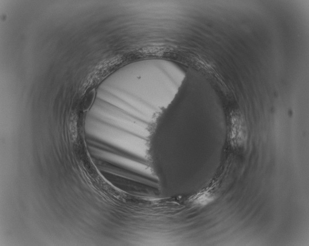 X0000055980504200509021616
