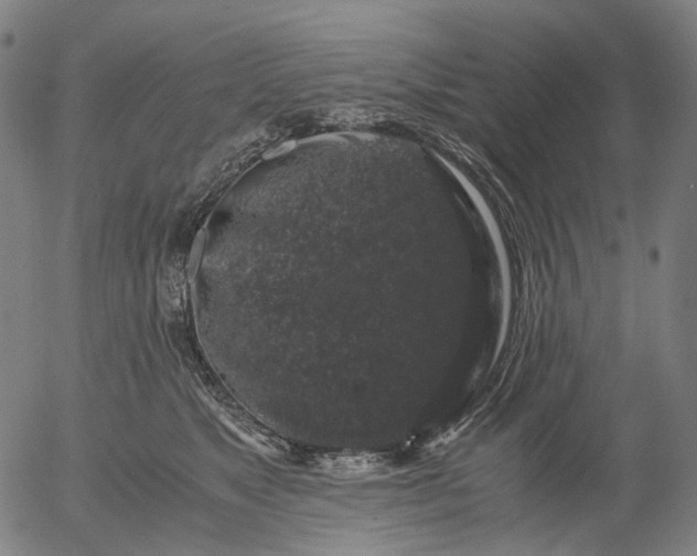 X0000055980517200509021616