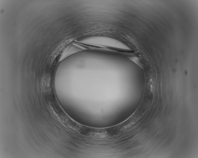 X0000055980548200509021615