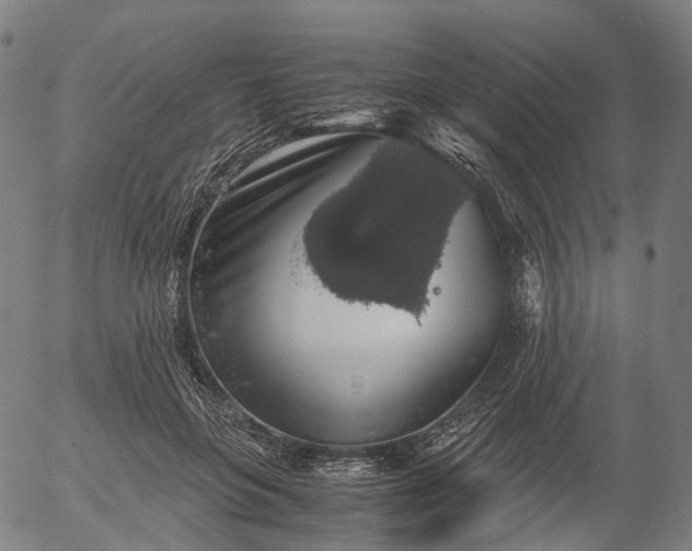 X0000055980551200509021615