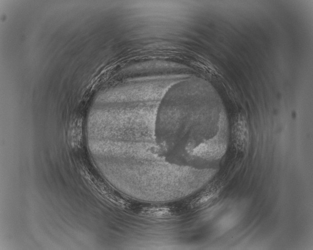 X0000055980554200509021615