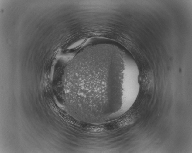 X0000055980555200509021615