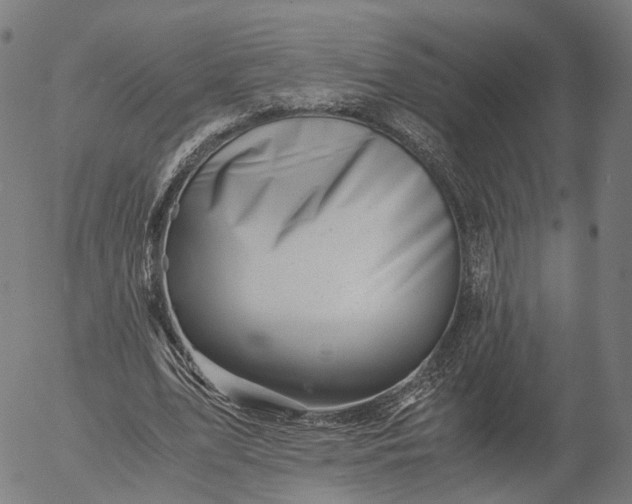 X0000055980583200509021615