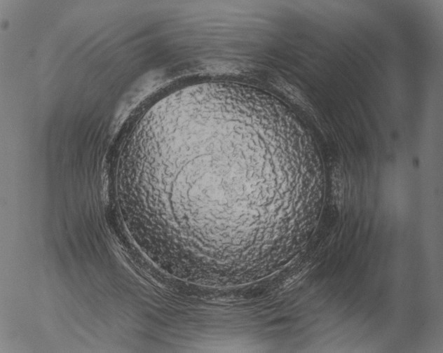 X0000055980584200509021615