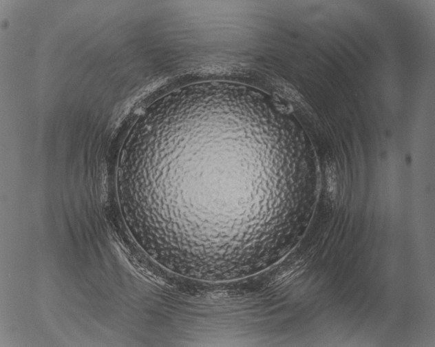 X0000055980588200509021614
