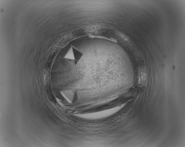 X0000055980601200509021614