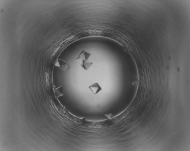 X0000055980604200509021614
