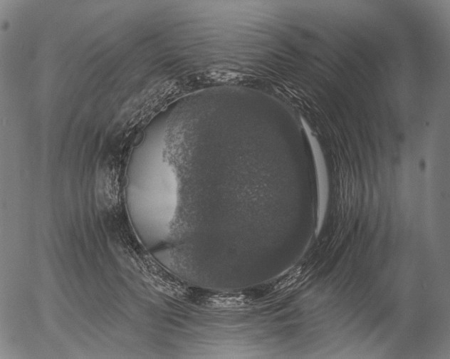 X0000055980606200509021614