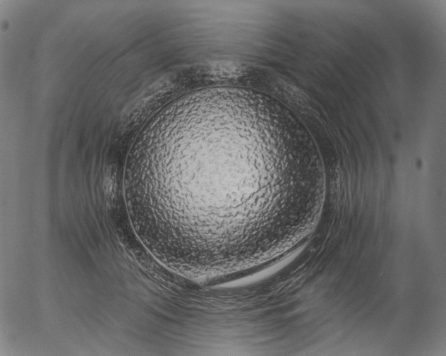 X0000055980608200509021614
