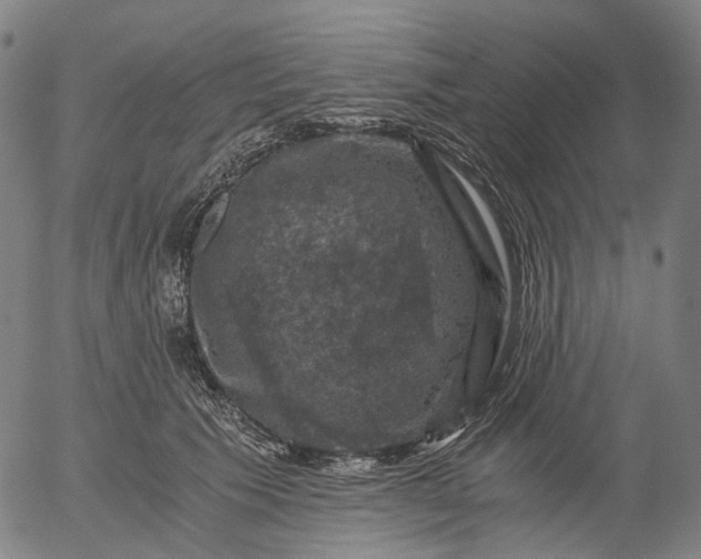 X0000055980609200509021614