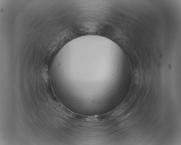 X0000055980612200509021614