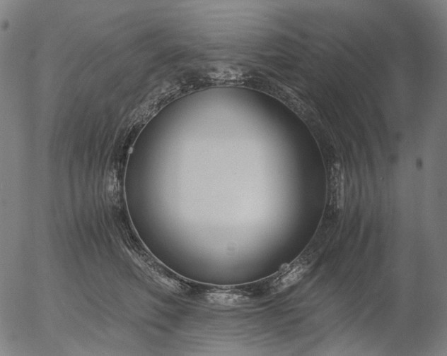 X0000055980614200509021614