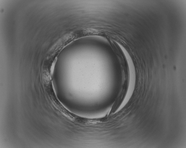 X0000055980617200509021614