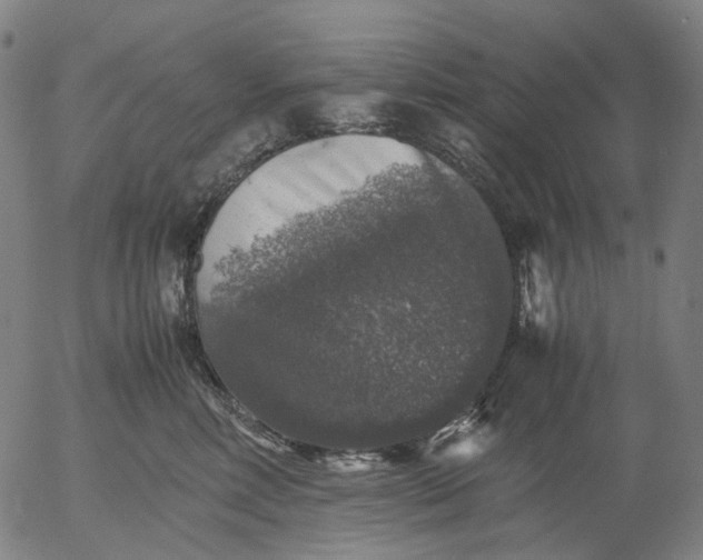 X0000055980618200509021614