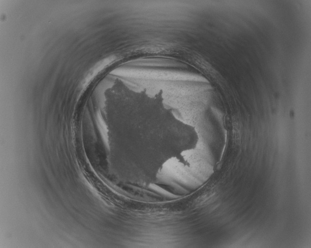 X0000055980626200509021613