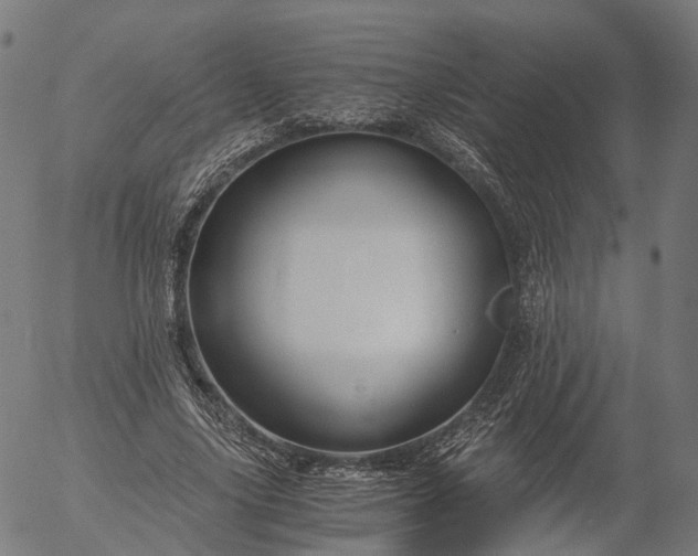 X0000055980635200509021613