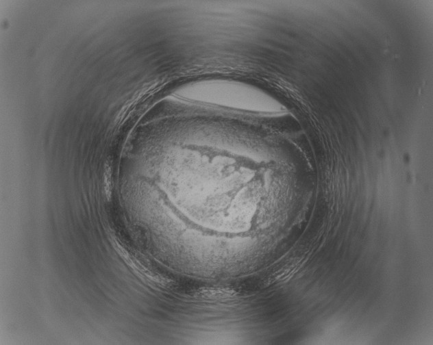 X0000055980644200509021613