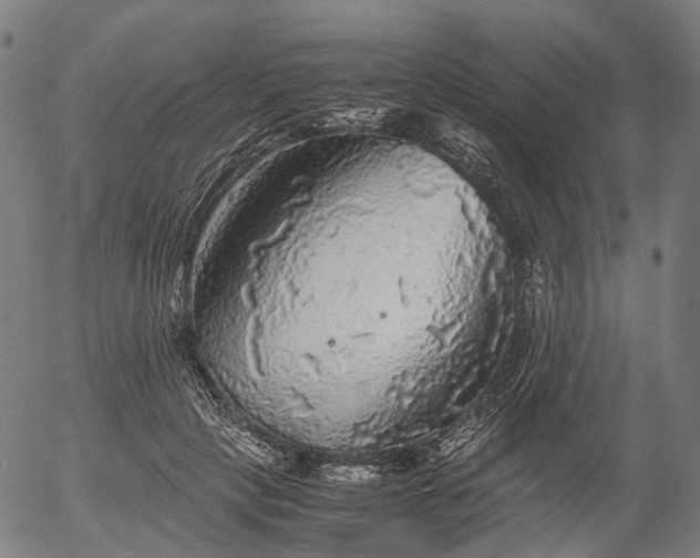 X0000055980649200509021613