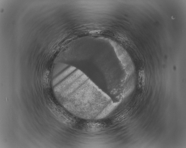 X0000055980650200509021613