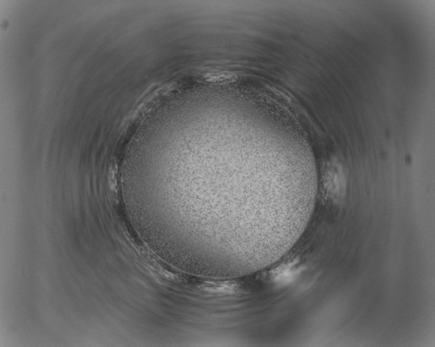 X0000055980667200509021614