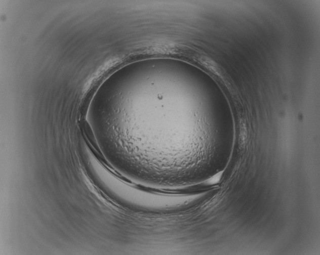 X0000055980677200509021613