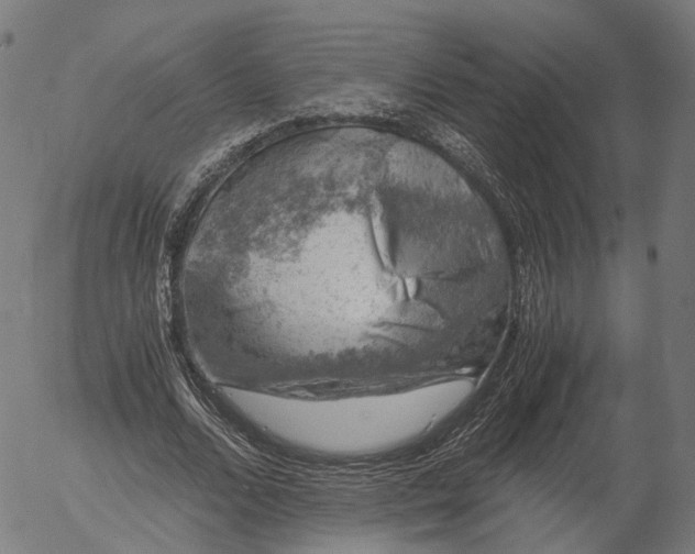 X0000055980680200509021613