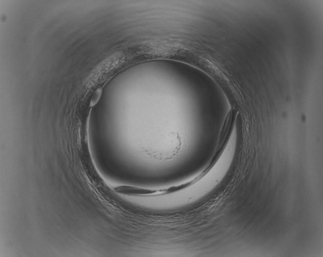 X0000055980685200509021613