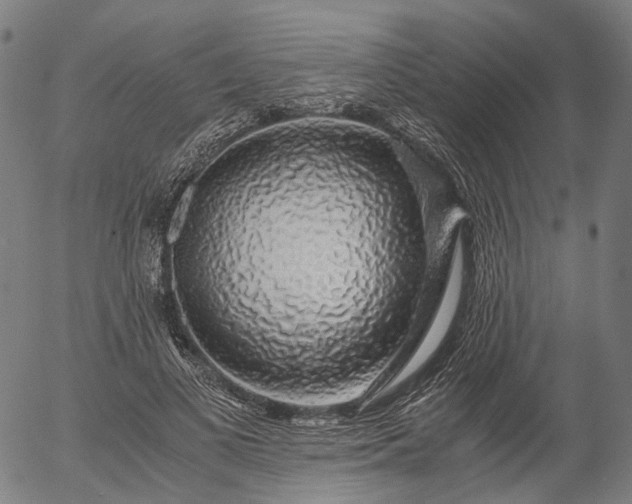 X0000055980693200509021613