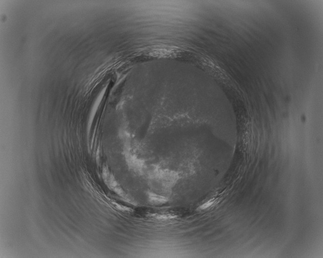 X0000055980696200509021613