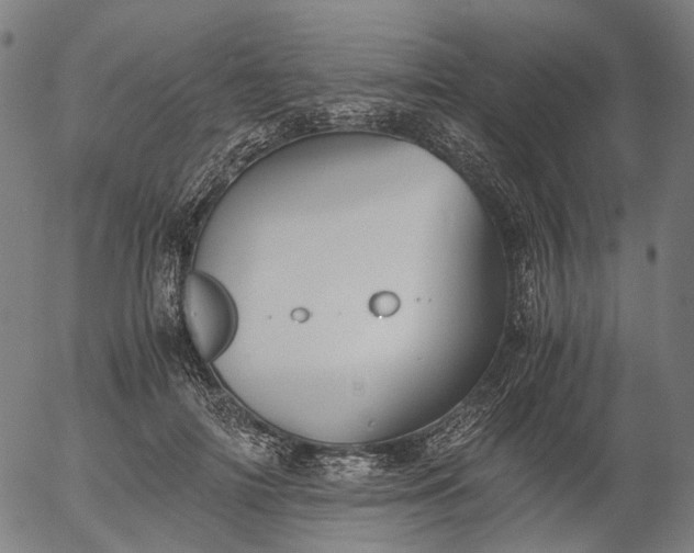 X0000055980698200509021613