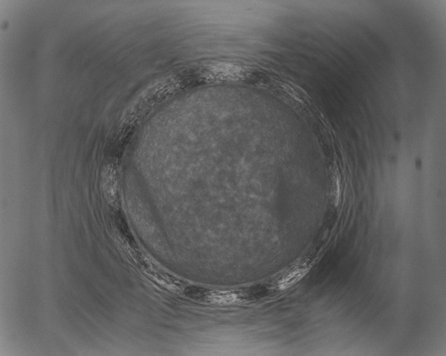 X0000055980701200509021613
