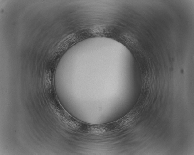 X0000055980702200509021613