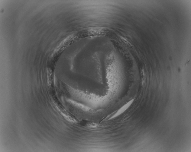 X0000055980712200509021612