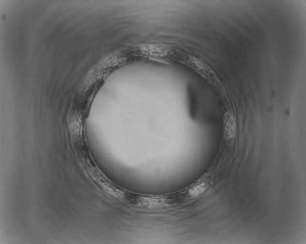 X0000055980713200509021612