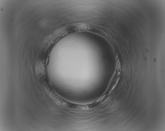 X0000055980715200509021612